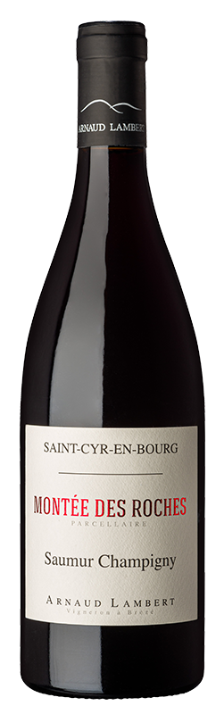 MONTEE DES ROCHES SAUMUR CHAMPIGNY (CABERNET FRANC) 2018