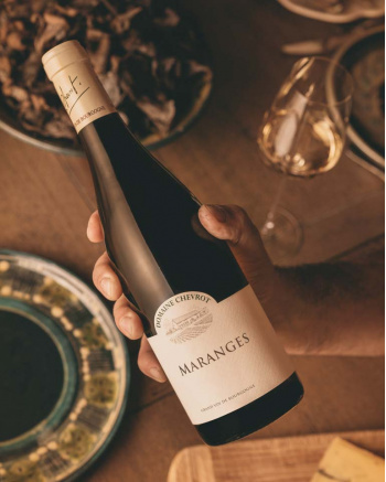 DOMAINE CHEVROT MARANGES CHARDONNAY BLANC 2022 BIO